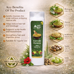 Ayurvedic Anti-Hair Fall Shampoo for Gentle Cleansing & Scalp Care – 200 ml