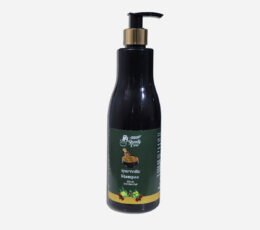 Ayurvedic Shampoo